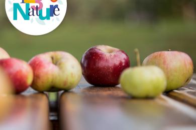 Tutti Frutti © Mona +