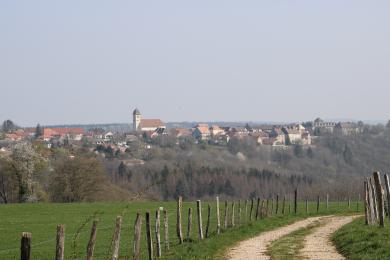 IMG_8966
