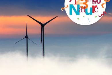 Eolienne © PIXABAY