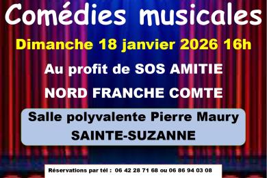 BALADE EN COMEDIES MUSICALES avec SOS amitié © chorale