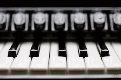 accordeon © libre de droits - Pixabay