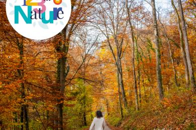 Balade sophro 'balade de forêt' ©  Périples & Cie pour PMA
