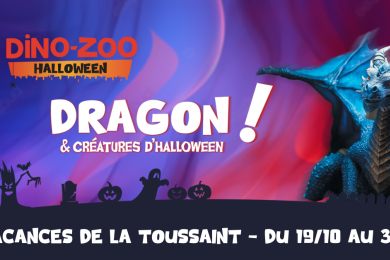 dragon © Dino-zoo