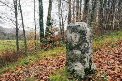 LES BORNES DE LA PRINCIPAUTÉ DE MONTBÉLIARD_1 © Jacky Tessier