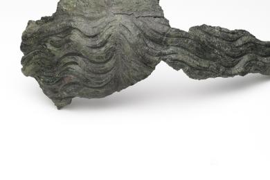 Journées européennes de l'archéologie © Fragments de statue monumentale en bronze, Mandeure 1er-2e siècles après J-C. Collection Musées de Montbéliard @ Jack Varlet