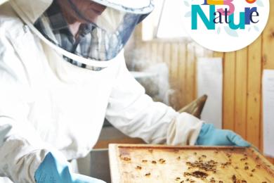 Le rucher-école ©  S. Durbic pour PMA