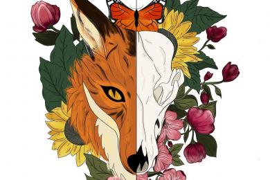 Le bruit du renard © Le bruit du renard
