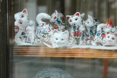 La fête de printemps © omerderinyar