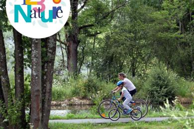Les arbres remarquables ©  Périples & Cie pour PMA