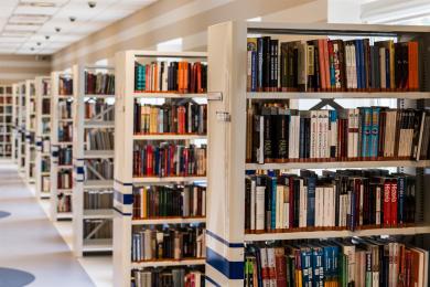 jarmoluk-library-488690 © libre de droits - Pixabay