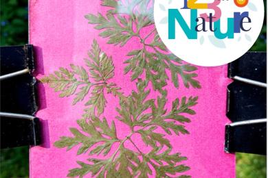 Anthotypes : la photographie végétale © Mona +