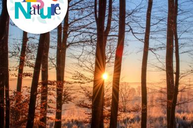 Balade crépusculaire © Mona +