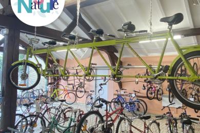 Recyclerie des Forges © Mona +