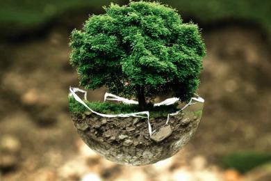 nature-environnement © Pixabay libre de droit