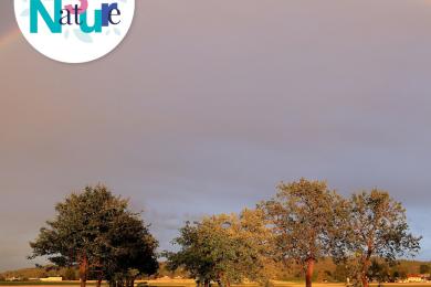 La lumière de l'arc-en-ciel et des étoiles ©  Pixabay