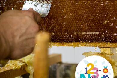 Extraction de miel © Mona +
