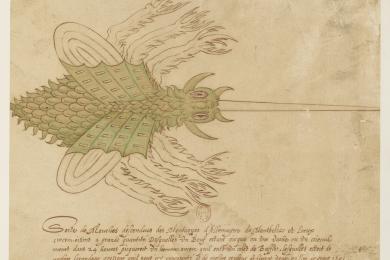 Conférence ' Des mouches venues de Montbéliard  ' © Jean Rabel, Sorte de mouches descendues des montagnes de l’Allemagne (extrait), 16e siècle, cote : RESERVE ED-10 (A)-FOL  Bibliothèque nationale de France