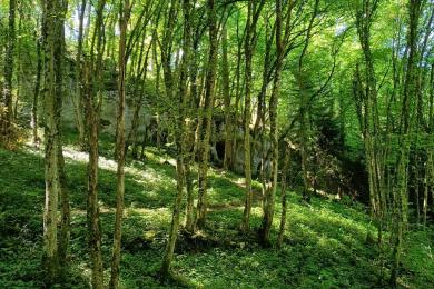 Randonnée Blamont (5) Randonnée Blamont (5)