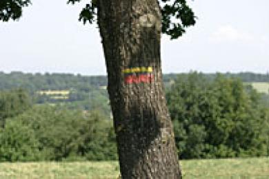 GRANDE RANDONNEE : GR5_1 © OTPM