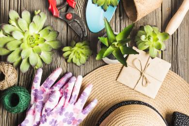 top-view-gardening-tools-wooden-floor © Magnific