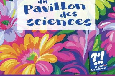 Les petites bêtes de l'été © Le Pavillon des sciences