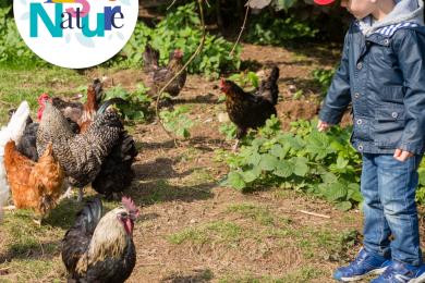 Balade à la ferme © Mona +