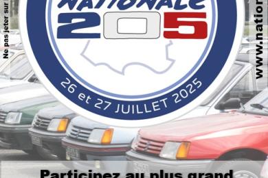 Rassemblement National 205 © MCVillars