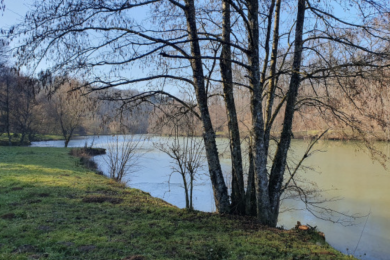 BALADE CONTÉE AU FIL DES ÉTANGS © NC