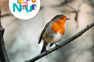 Becs et plumes © 123NaturePMA