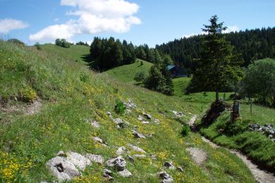 Paysage des Hautes Combes ©   Jura Tourisme