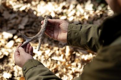 close-up-park-ranger-woods © freepik
