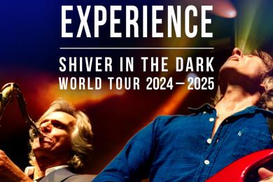 Concert The Dire Straits Experience © Mona + / Axone 