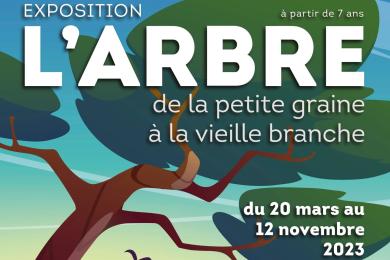 L'ARBRE. DE LA PETITE GRAINE À LA VIEILLE BRANCHE. © Le Pavillon des sciences