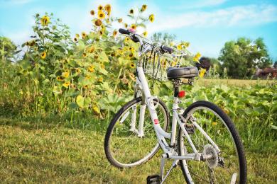 Bicyclette © libre de droit