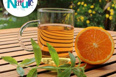 Tisane « low-tech » ©  Pexels