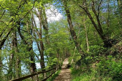 Sentier Littéraire André Beucler © Pays de Montbéliard Tourisme