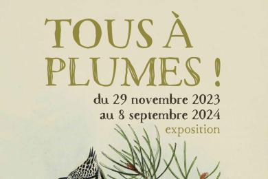 Tous à plumes © Le Pavillon des Sciences