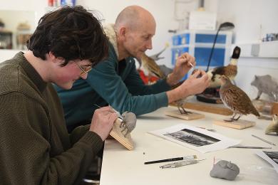 Rencontre-métier atour de la taxidermie © @Ville de Montbéliard, Denis Bretey