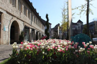 Halles en fleur © OTPM
