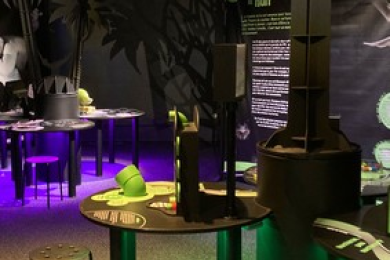 Visite nocturne 'Oserez-vous ?' © Le Pavillon des sciences