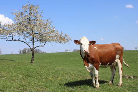 ©Pays de Montbéliard Tourisme